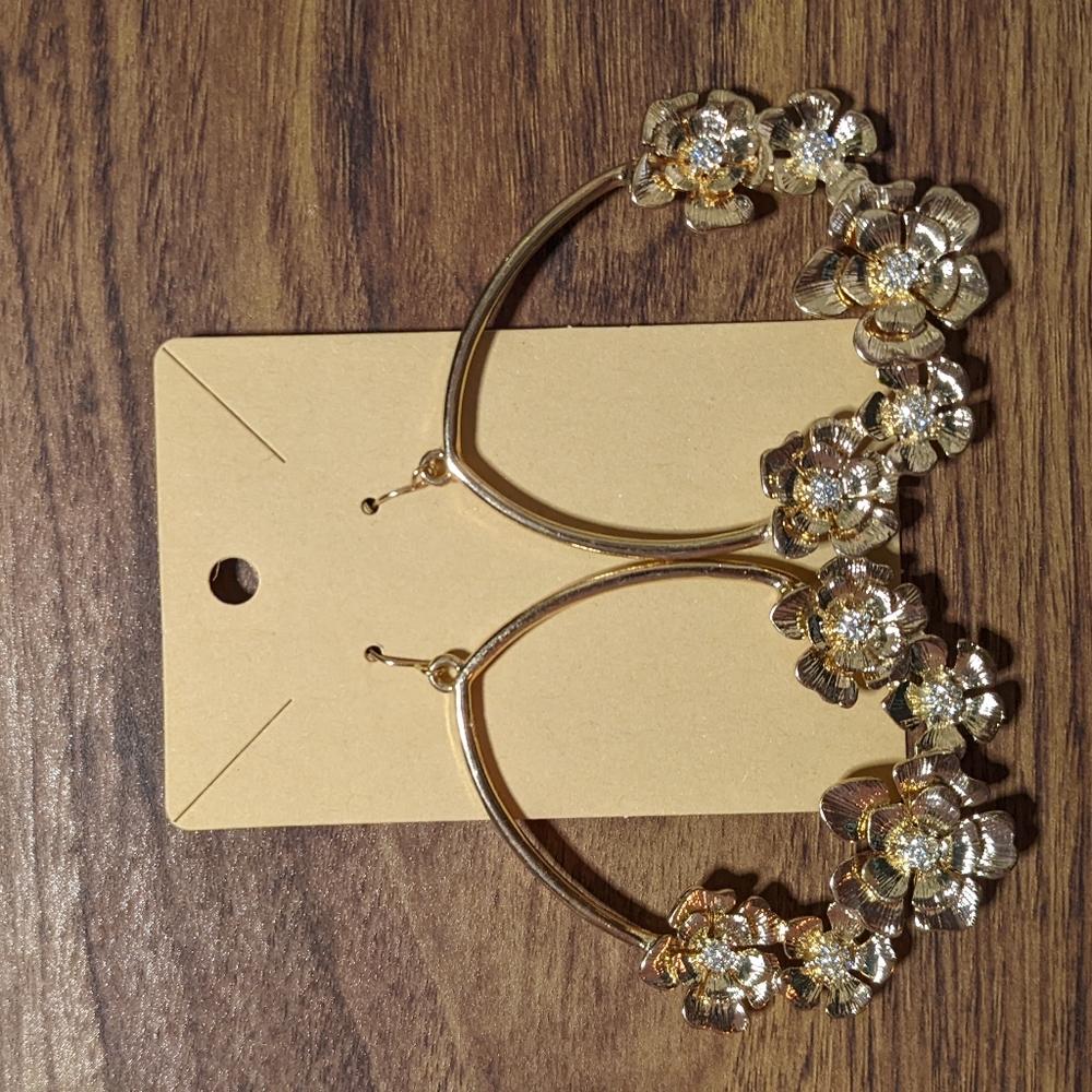 5/20$ huuuuuge earrings